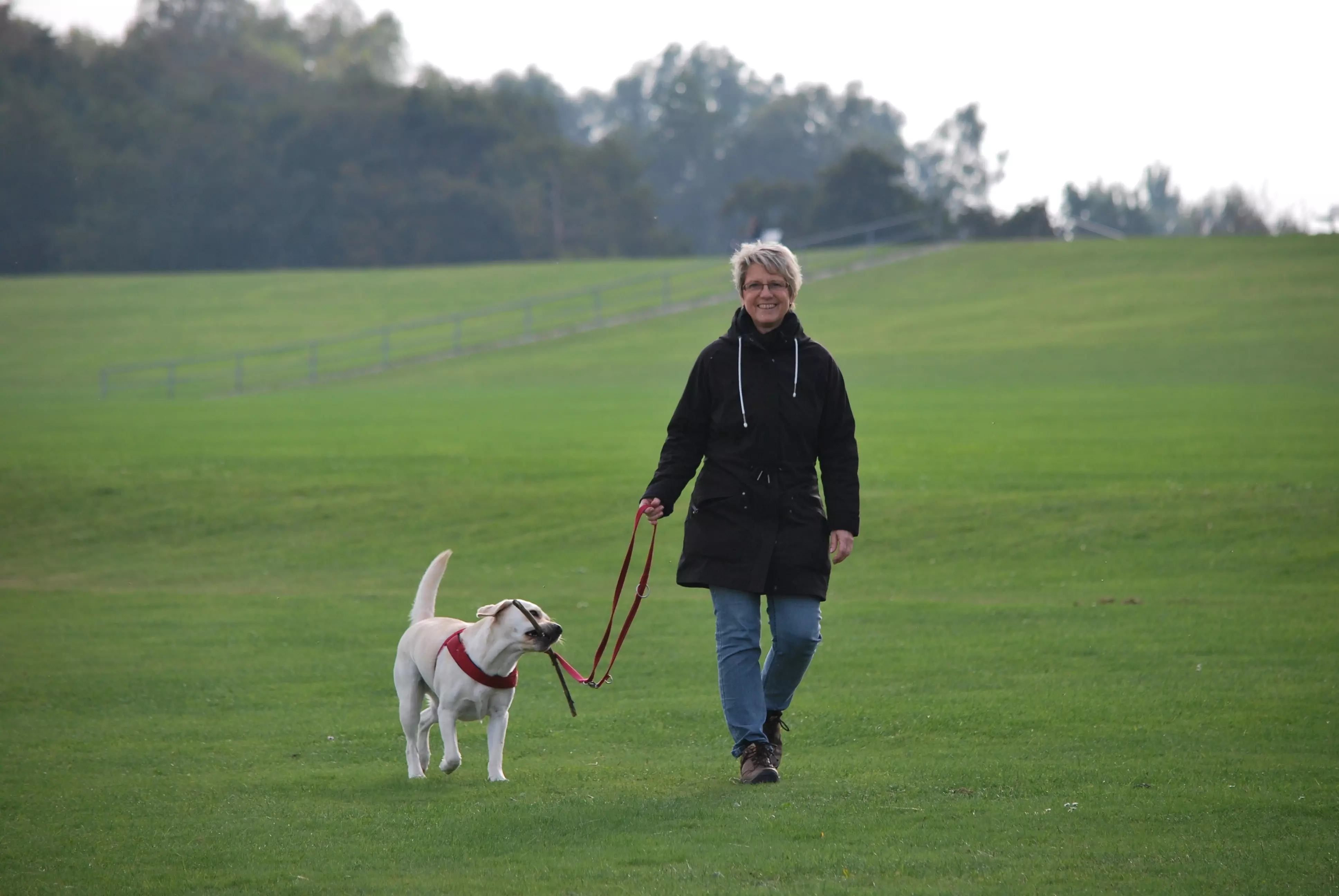 Pet Walking